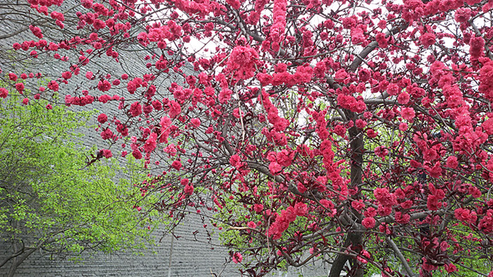 20150331_111056_副本.jpg