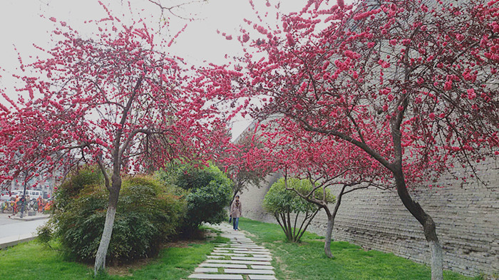 20150331_111119_副本.jpg