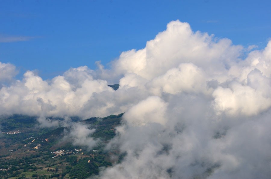 DSC_5023.jpg