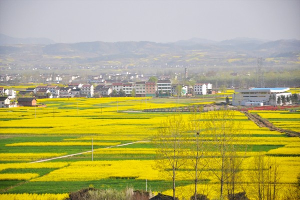 02.jpg