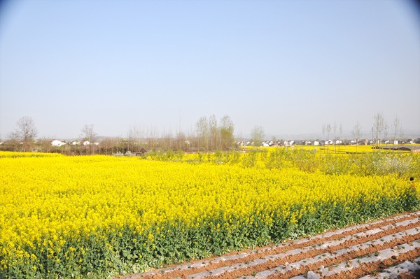 07.jpg
