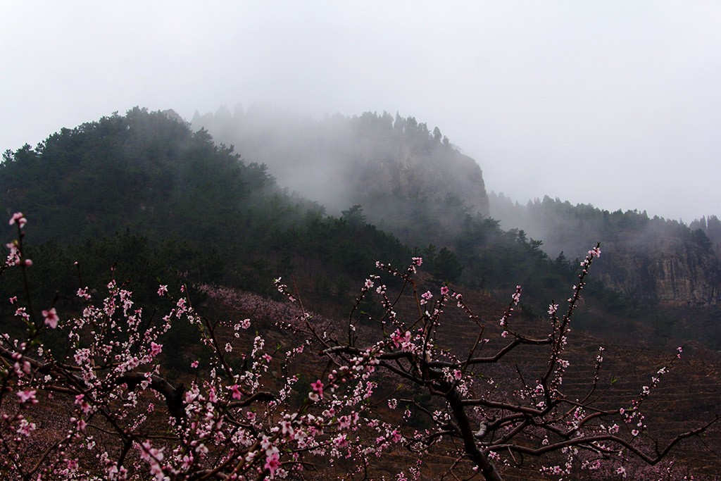 IMG_0029副本.jpg