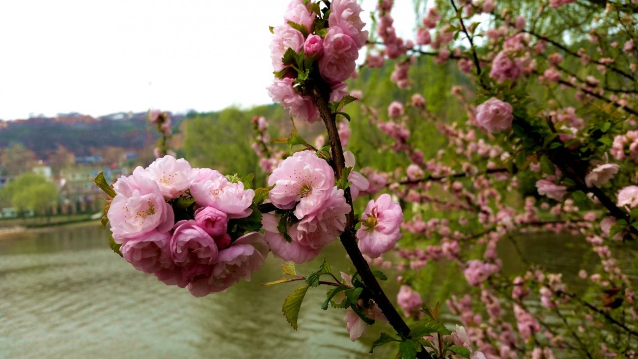20150408_142715_副本.jpg