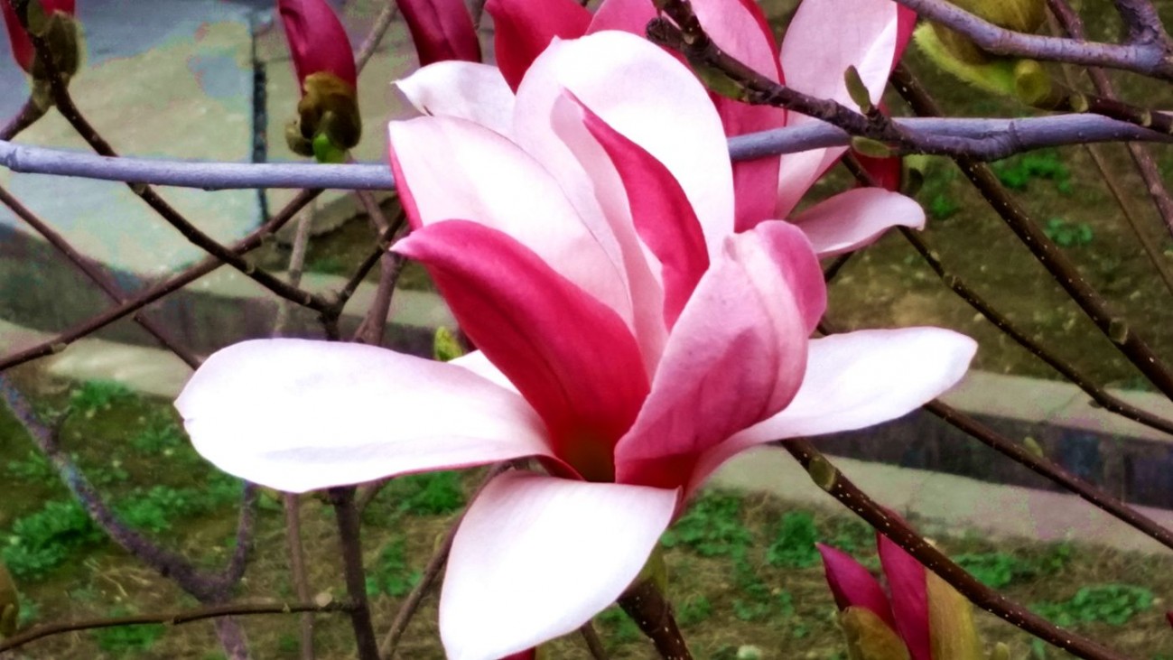 20150409_161315_副本.jpg