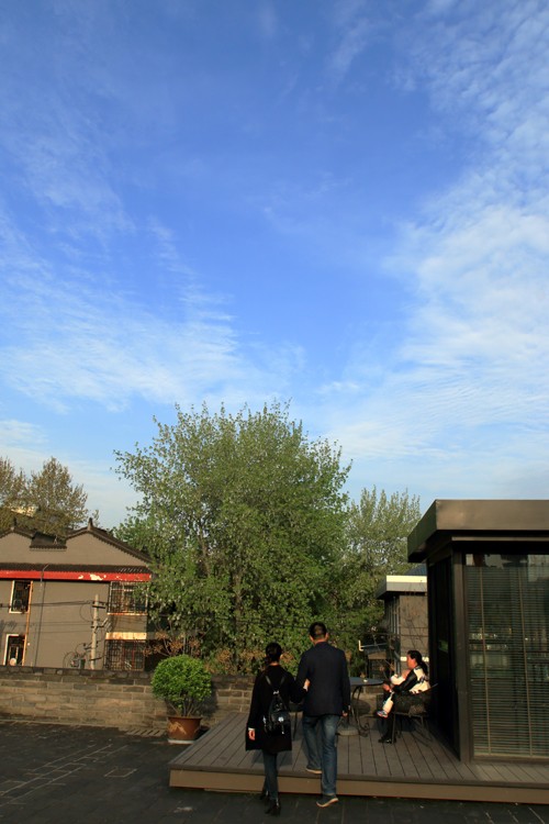 IMG_2831.jpg
