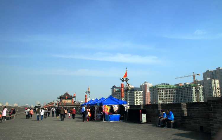 IMG_2973.jpg