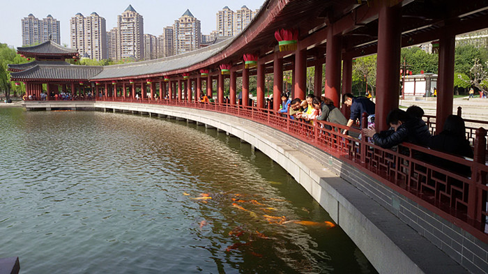20150409_154450_副本.jpg