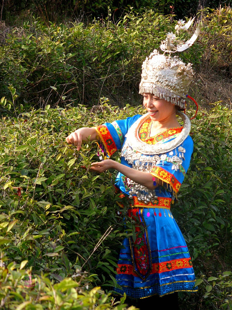 SDC13757_副本.JPG