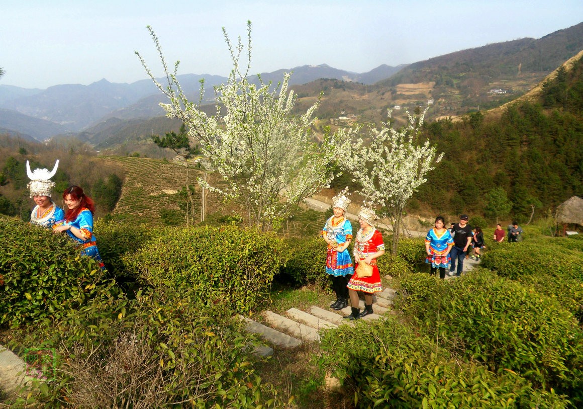 SDC13770_副本.JPG