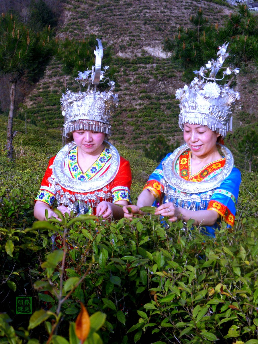 SDC13799_副本.JPG