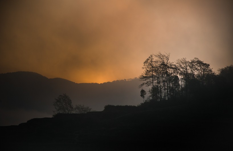 DSC_3629.jpg