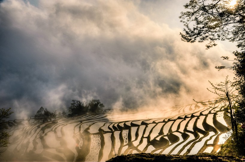 DSC_3682_3_4_5_6_tonemapped-2-2.jpg