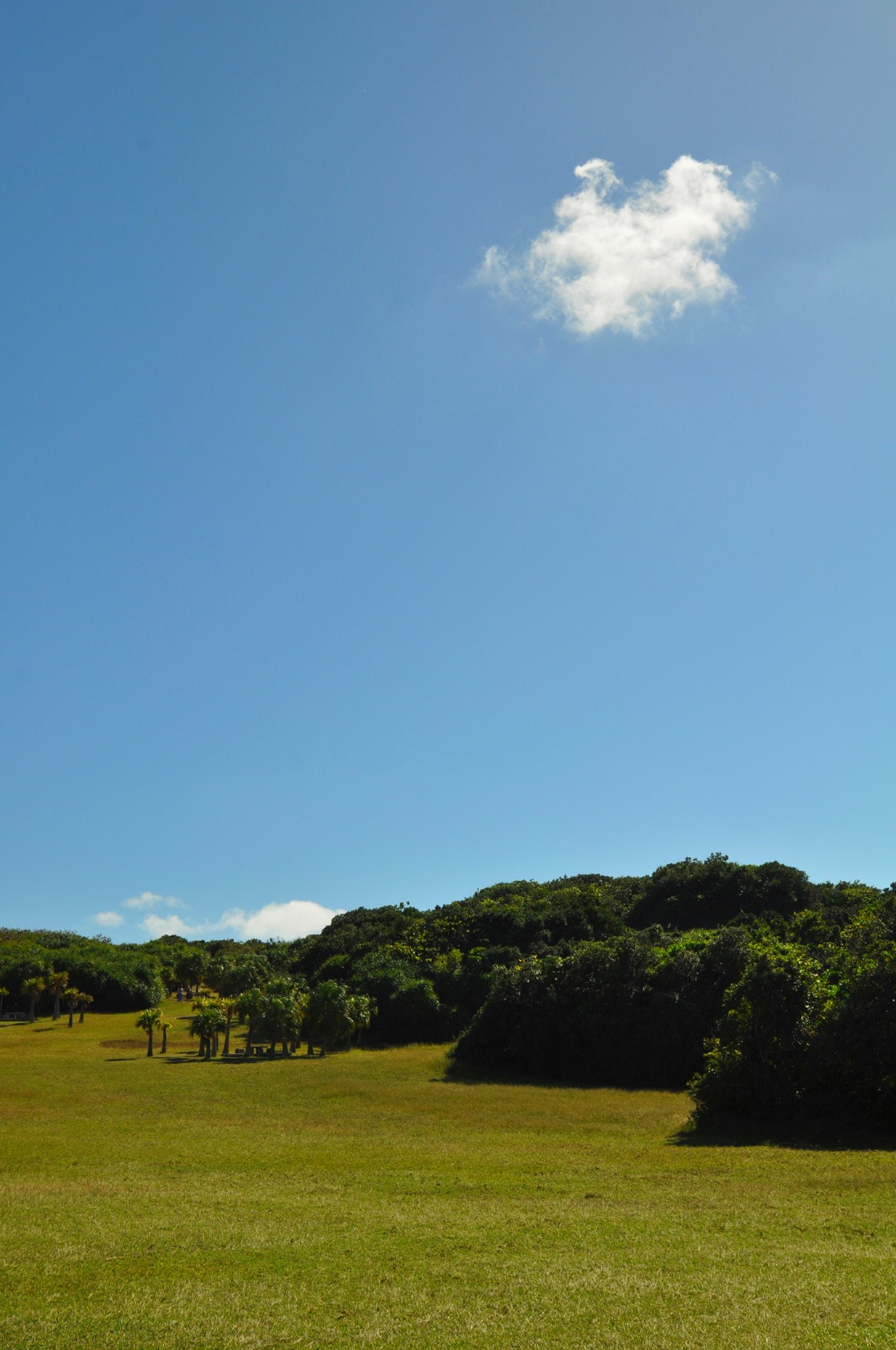 DSC_0259_副本_副本.jpg