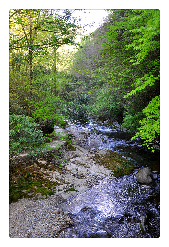 DSC_0030_副本.jpg