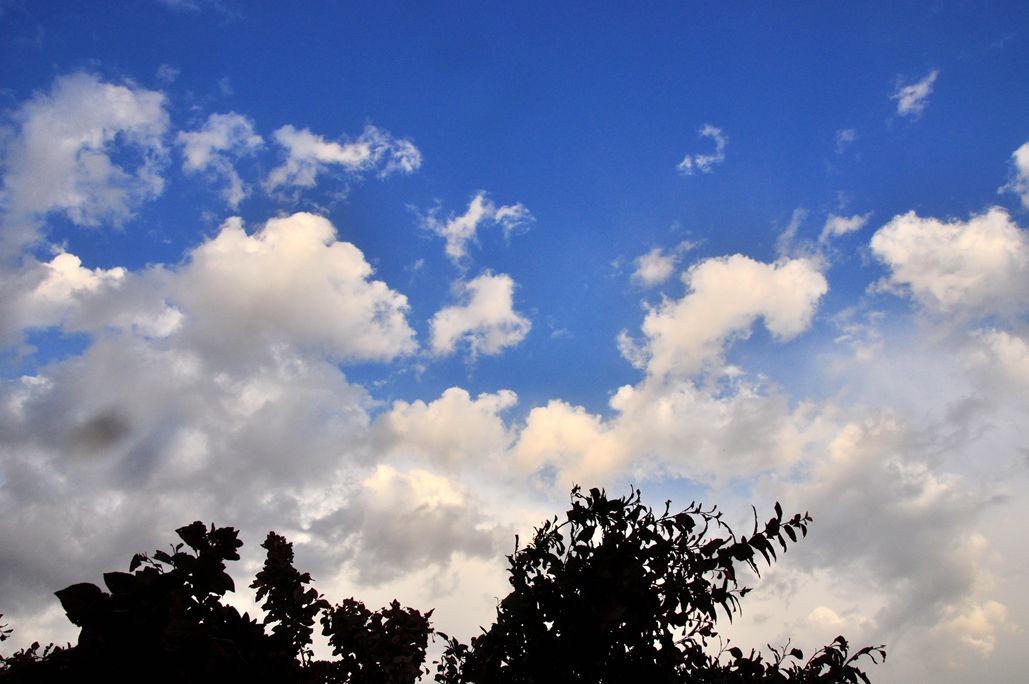 DSC_0382.jpg