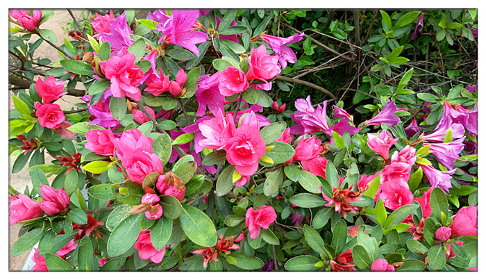 20150422_121558_副本.jpg