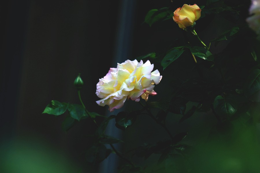 _0064.jpg