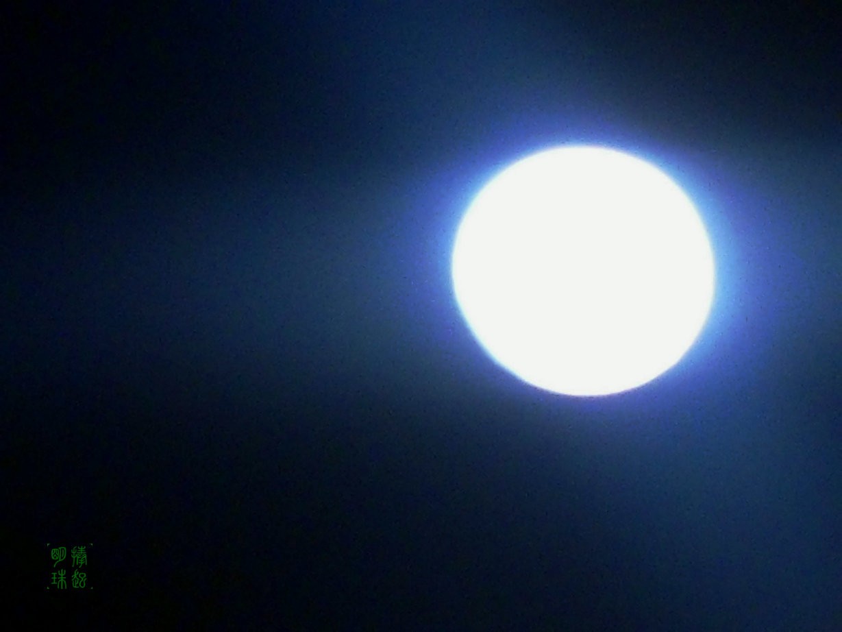 SDC15880_副本.JPG