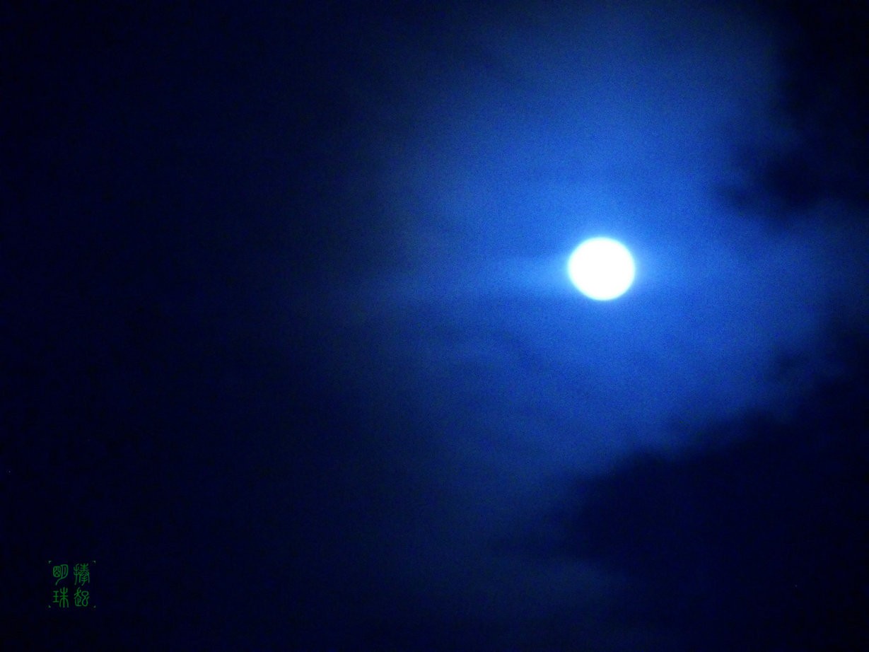 SDC15872_副本.JPG