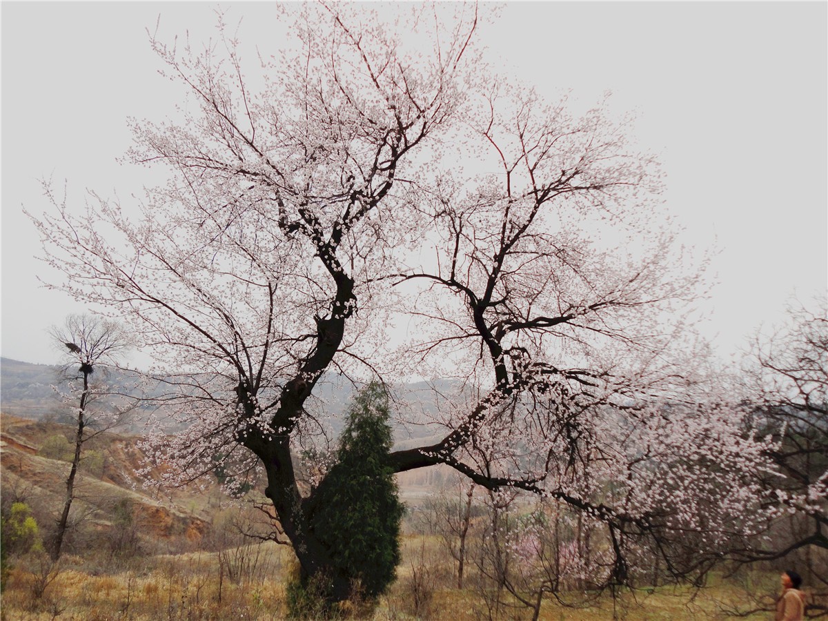 DSC00327_副本1.jpg