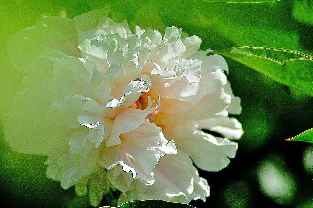 DSC_0140.jpg