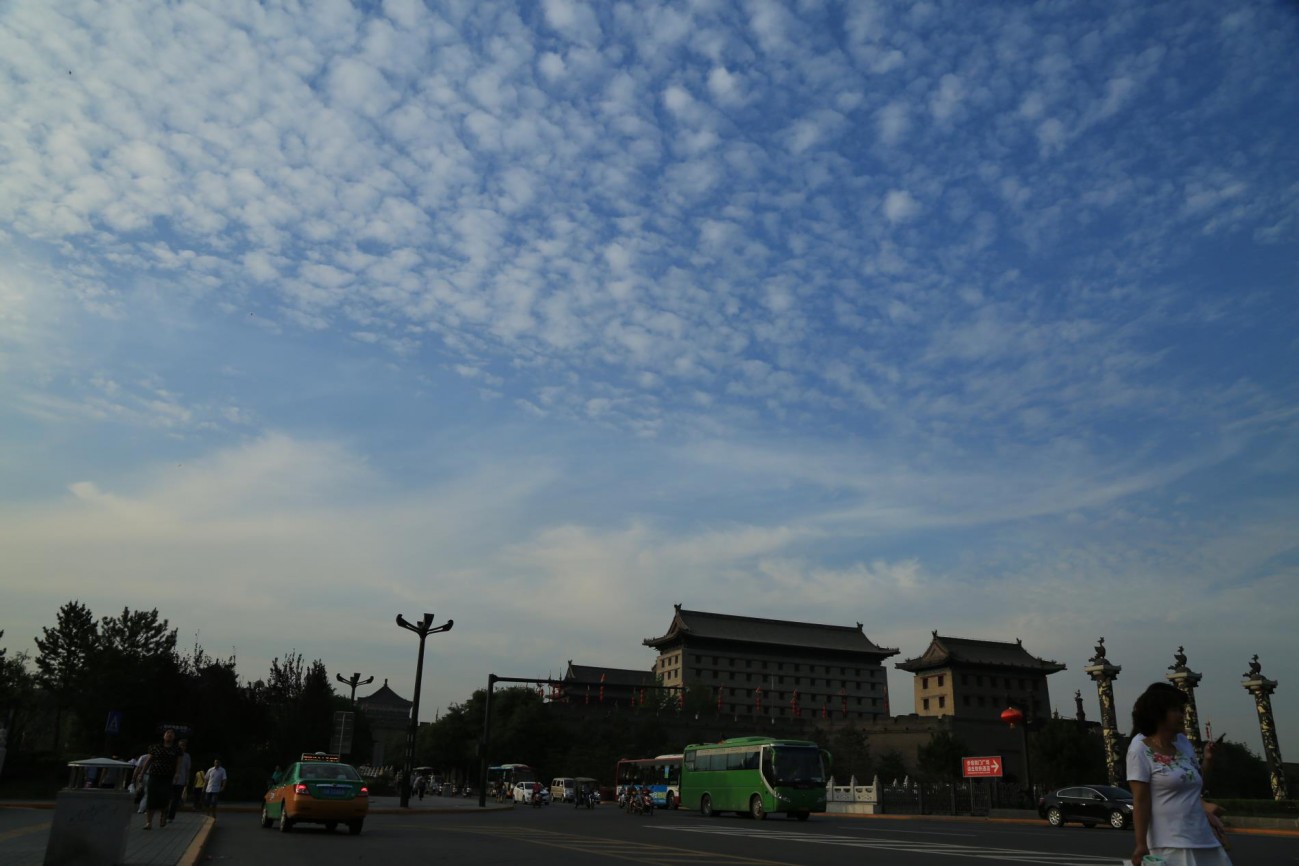 QD5A9987.JPG