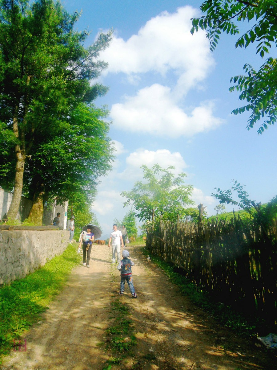 SDC17752_副本.JPG