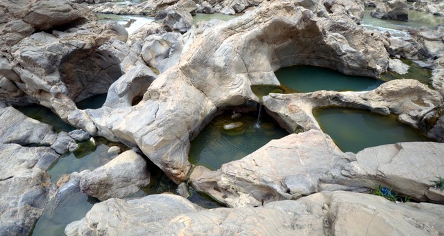 DSC_4778.jpg