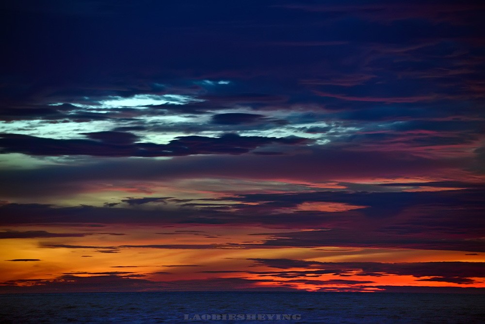 DSC_2442.jpg