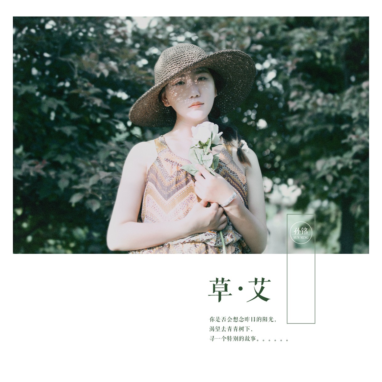 草艾_1.jpg