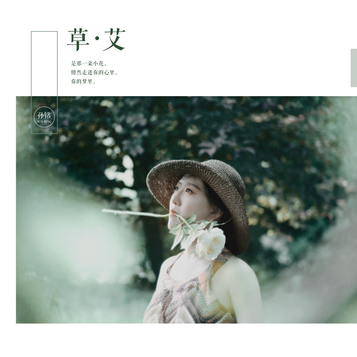 草艾_6.jpg