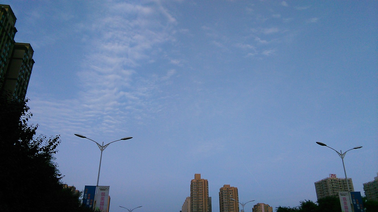 IMG_20150515_190442.jpg