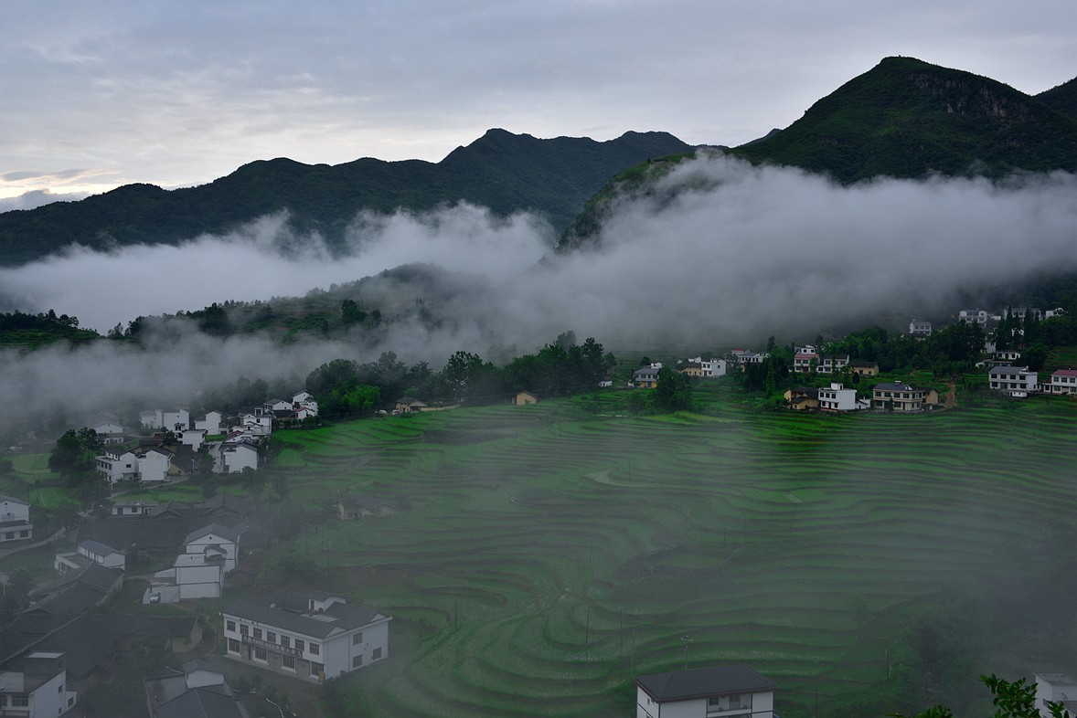 DCS_1228_副本.jpg