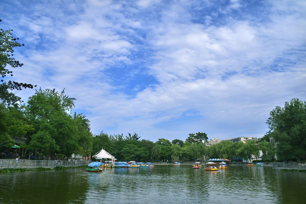 莲湖公园 (6).jpg