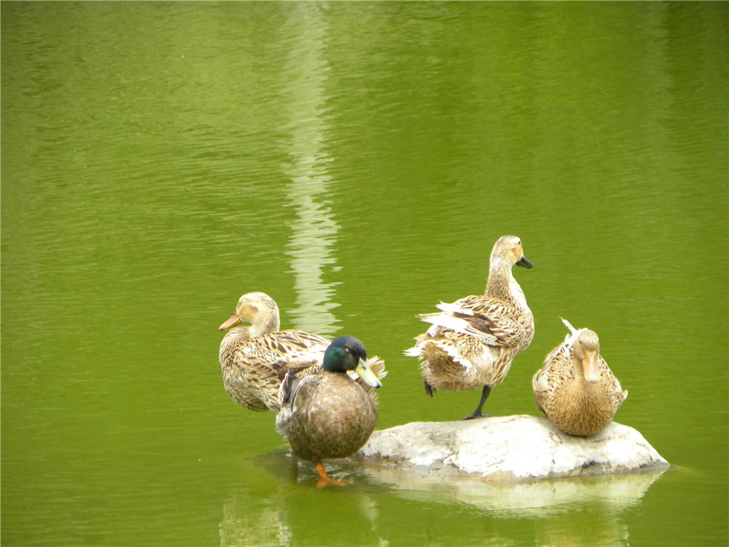 DSCN8938.JPG