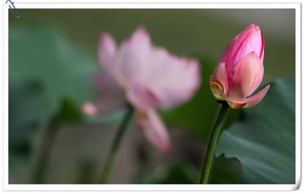 IMG_4844_副本.jpg