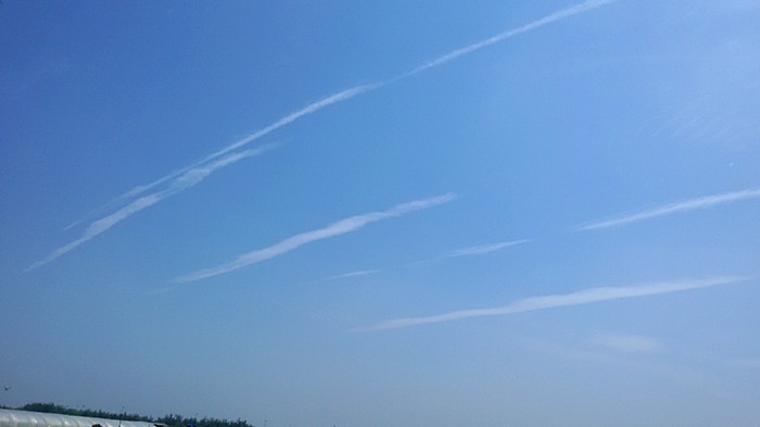 20150701_103958_副本.jpg