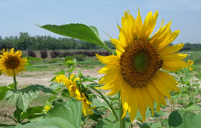 20150701_111336_副本.jpg