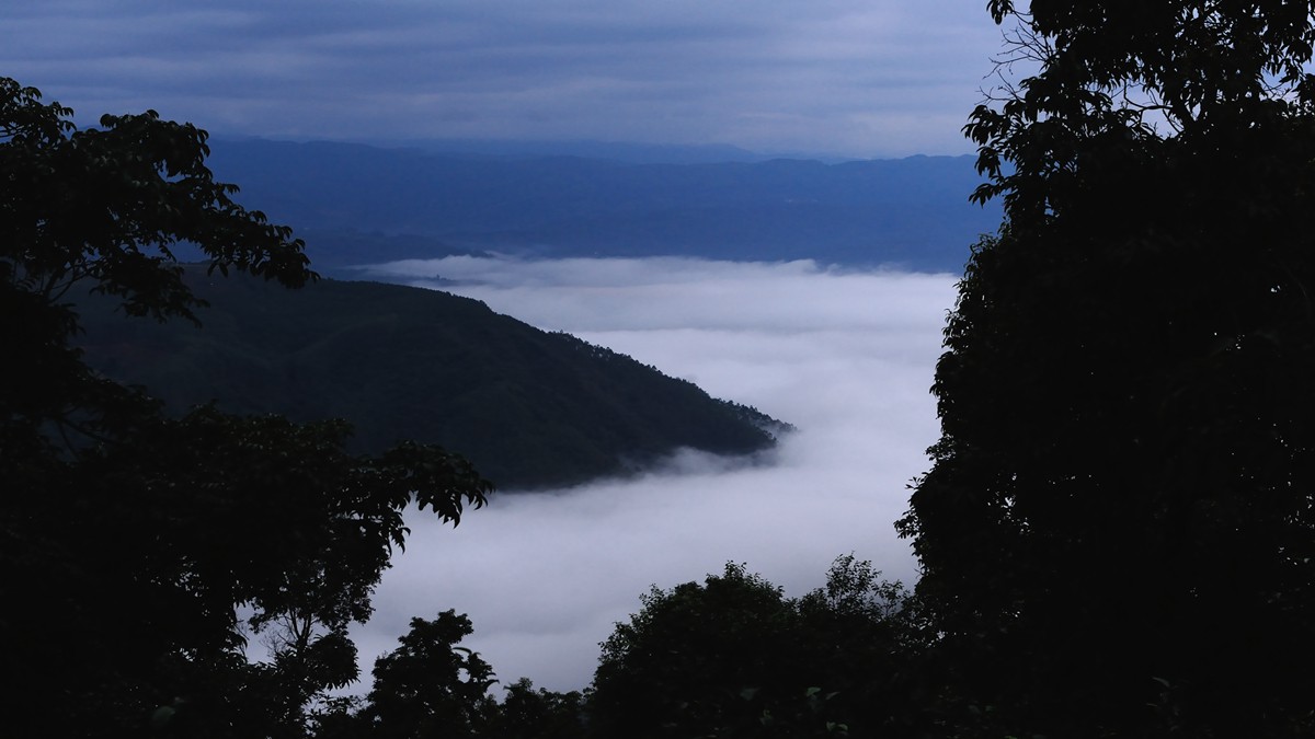 DSC_7303_副本.jpg