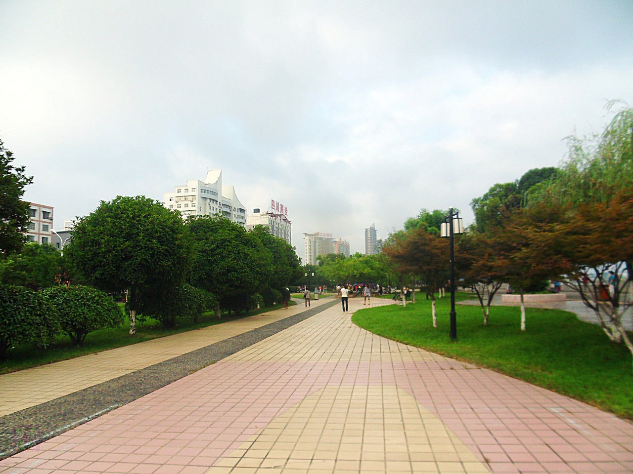 SDC10647.JPG
