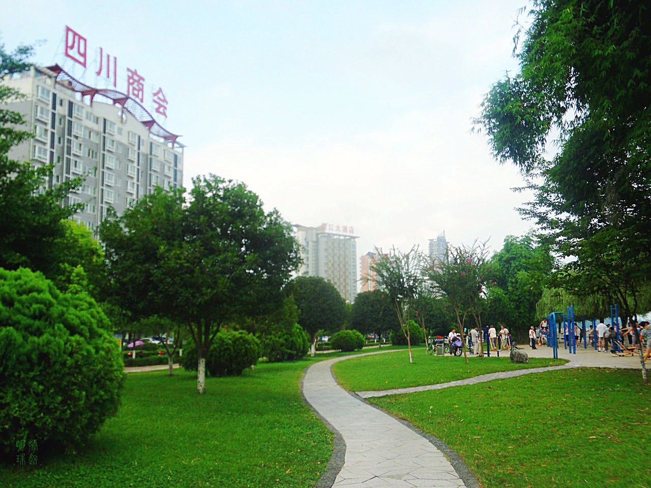 SDC10659.JPG
