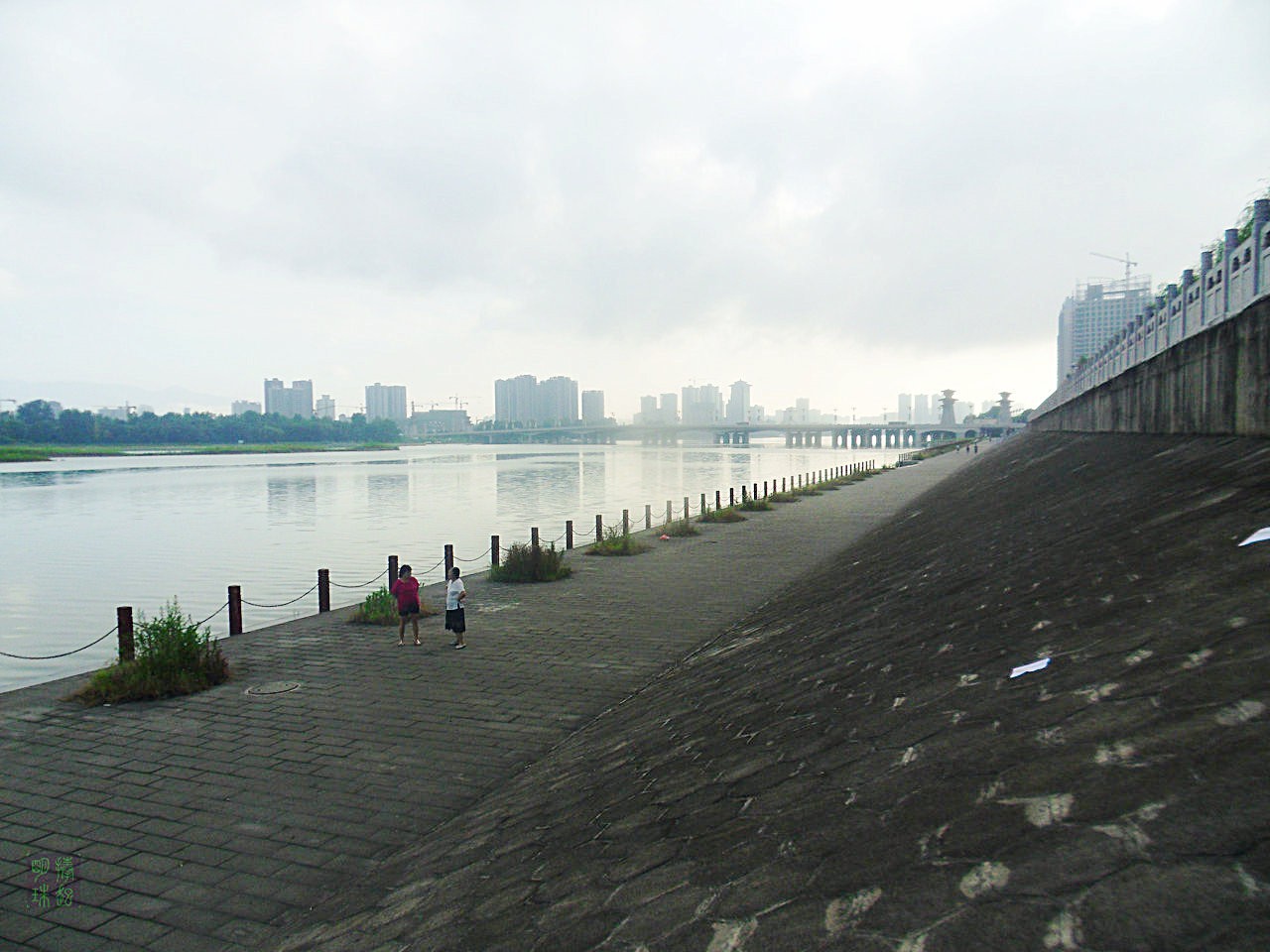 SDC10662.JPG