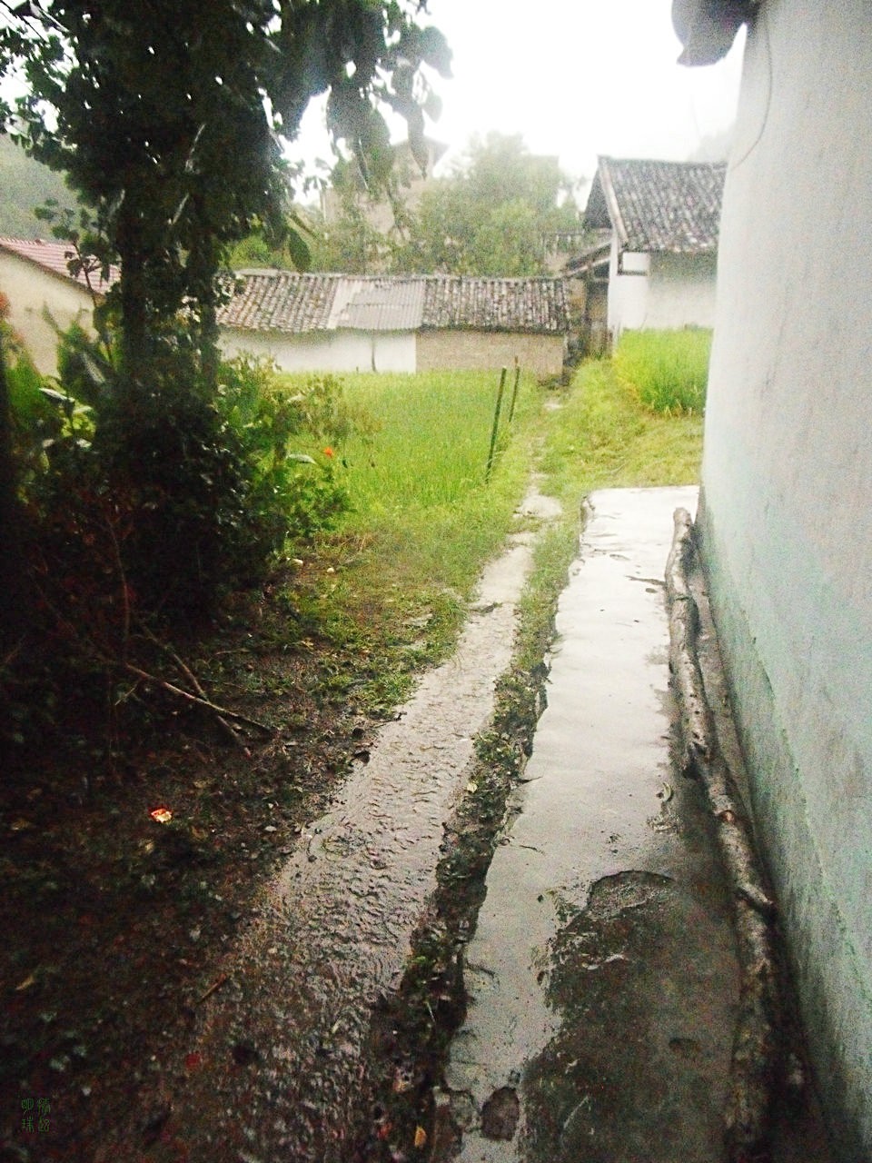 SDC12468.JPG