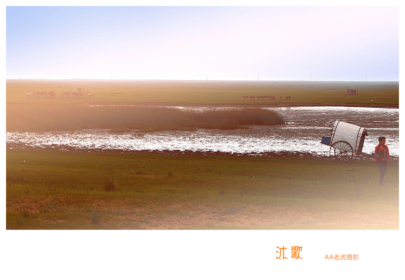 DSC_4244_副本.jpg