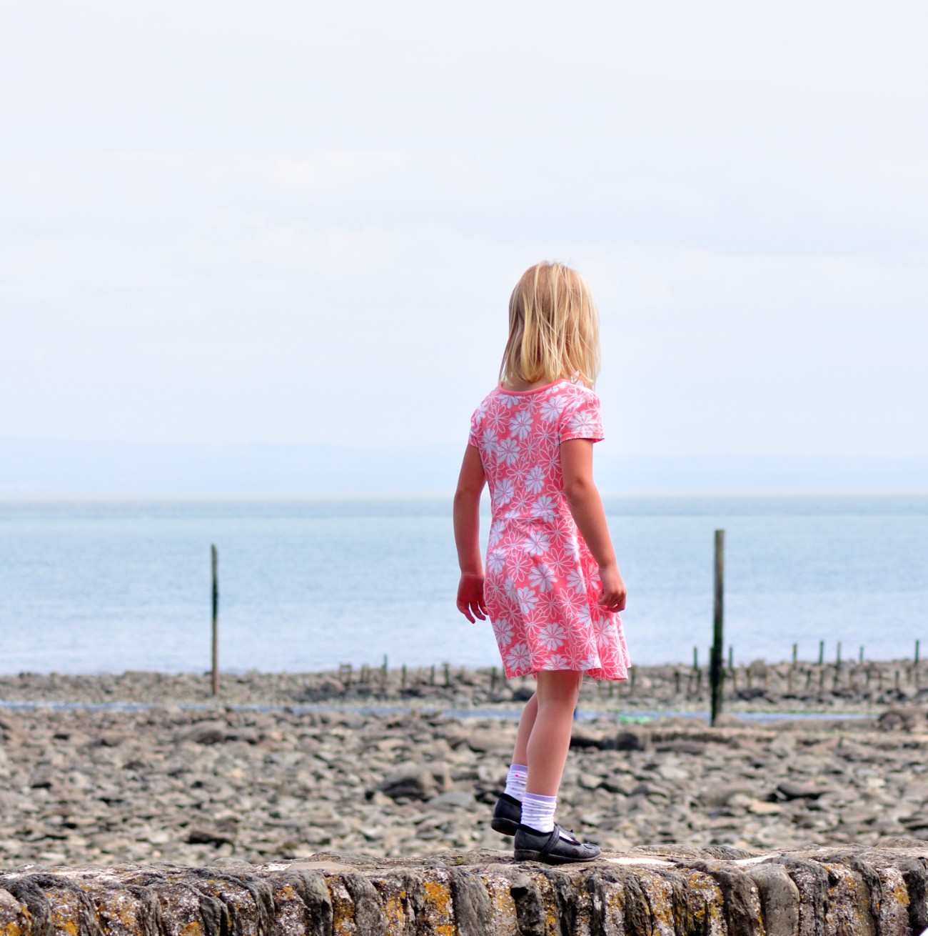 @Valley of the Rocks, Lynton