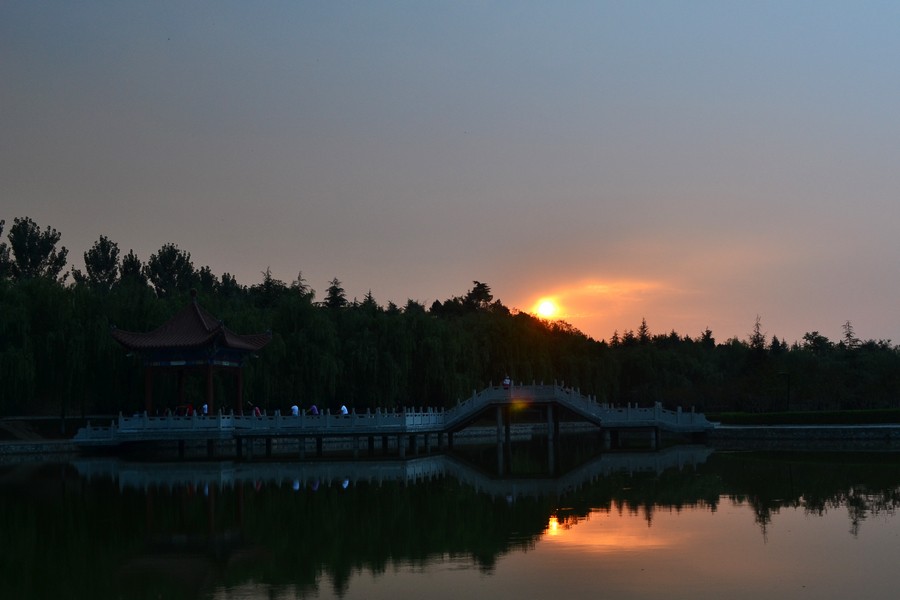 DSC_0010.jpg