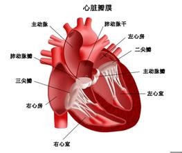u=3788982008,2367288611&amp;fm=21&amp;gp=0.jpg