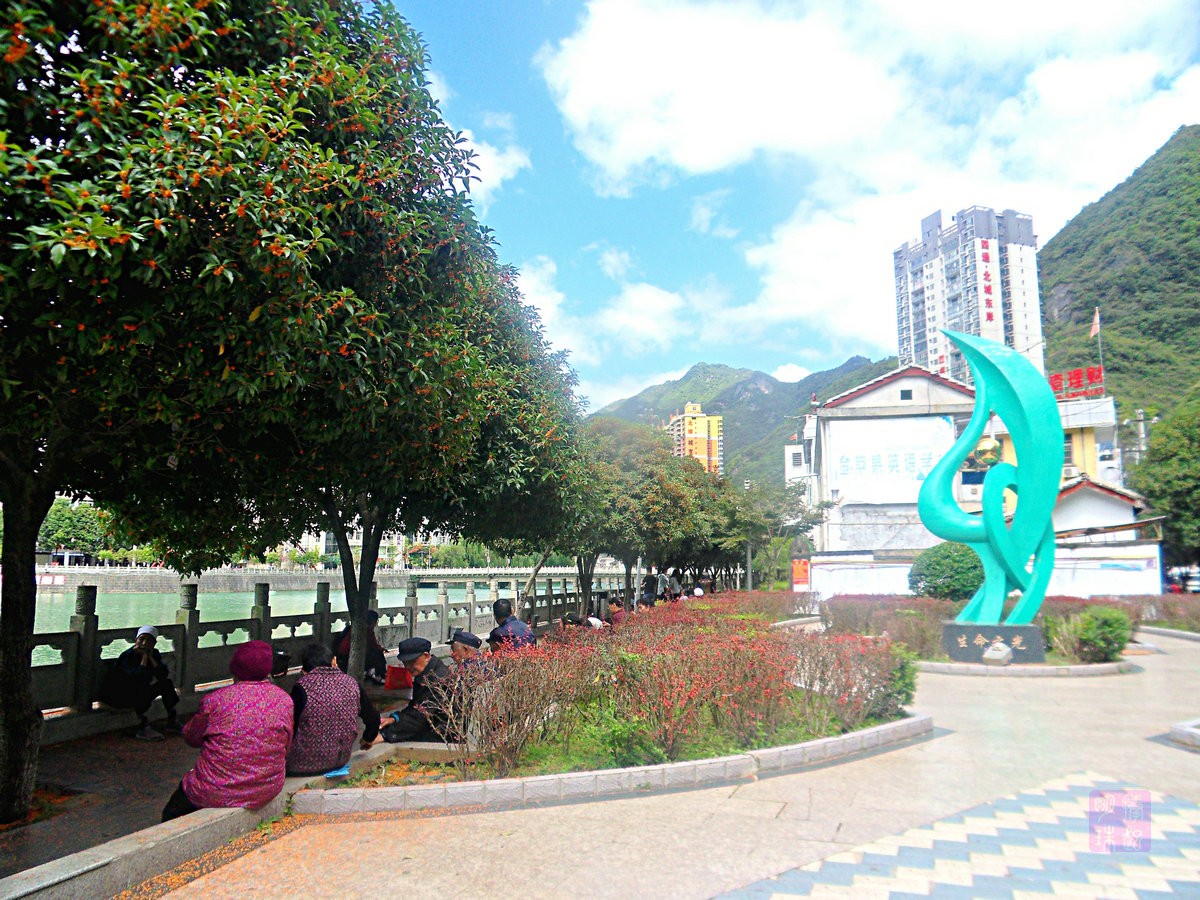 SDC15543_副本.JPG