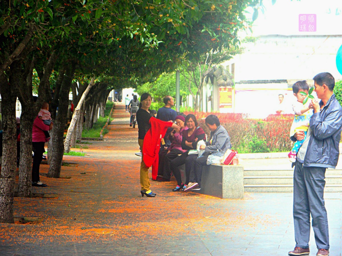 SDC15562_副本.JPG
