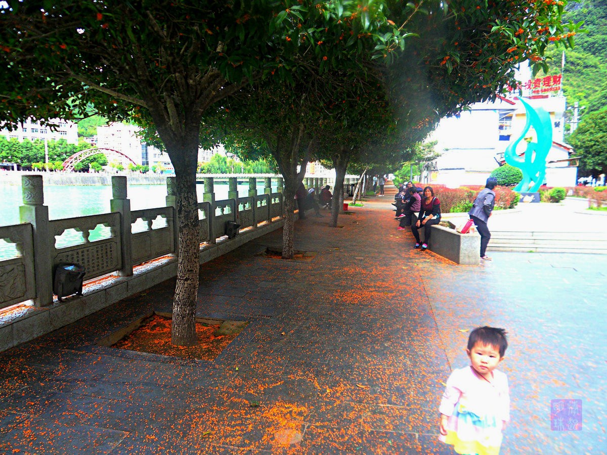 SDC15540_副本.JPG